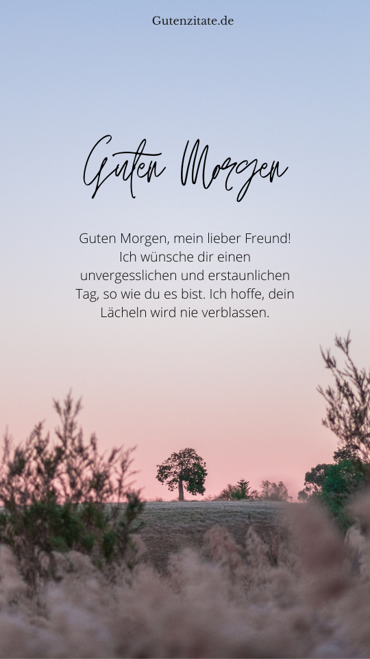 Guten Morgen  Freunde