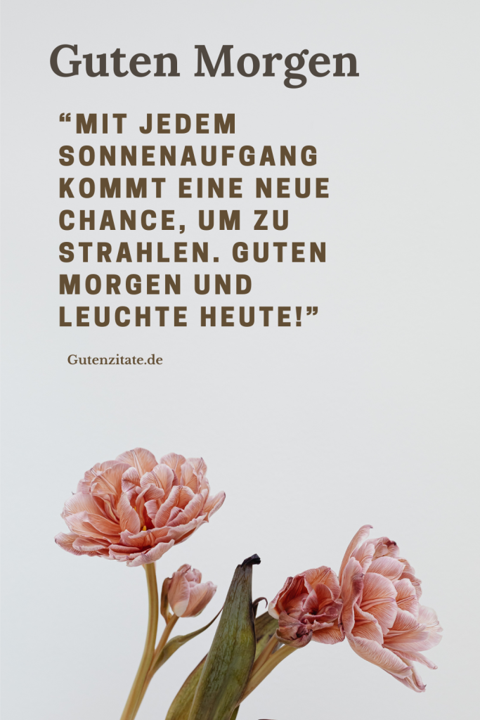 Guten Morgen Dienstag 