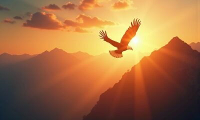 sprüche mut und kraft-Titel